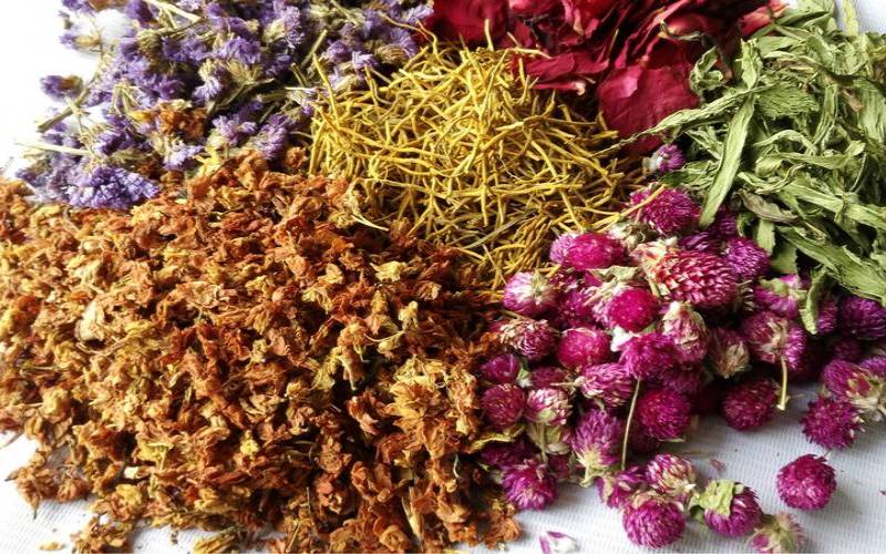 百花花茶的功效与作用,百花草长什么样图片 百花花茶的功效与作用,百花草长什么样图片