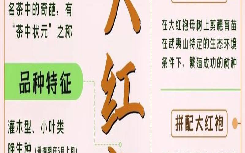 大红袍茶叶有什么作用,大红袍的功效与作用 大红袍茶叶有什么作用,大红袍的功效与作用