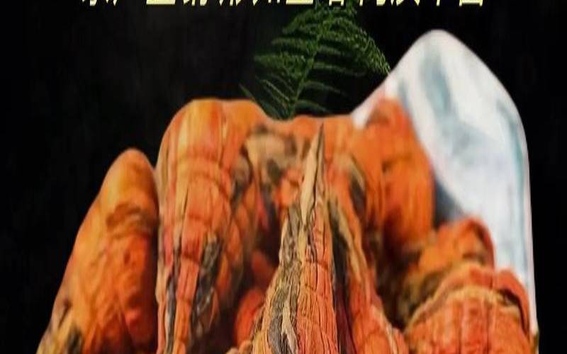 云南人喝什么茶叶,云南哪里的茶叶最好喝 云南人喝什么茶叶,云南哪里的茶叶最好喝