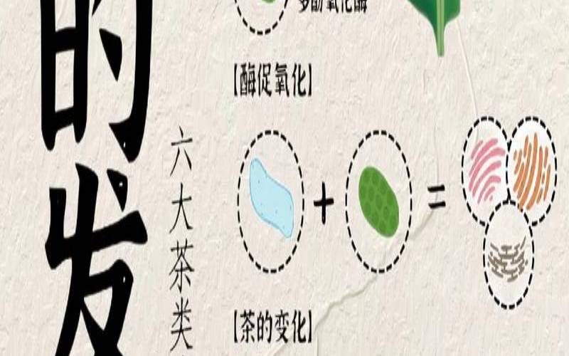 茶叶水怎样发酵,茶叶如何发酵 茶叶水怎样发酵,茶叶如何发酵