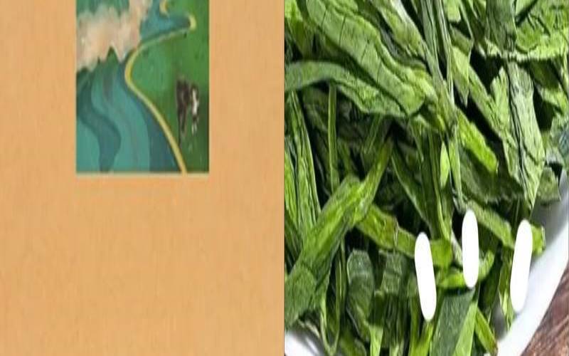 浙江产的茶叶种类有哪些,浙江哪里产茶叶 浙江产的茶叶种类有哪些,浙江哪里产茶叶