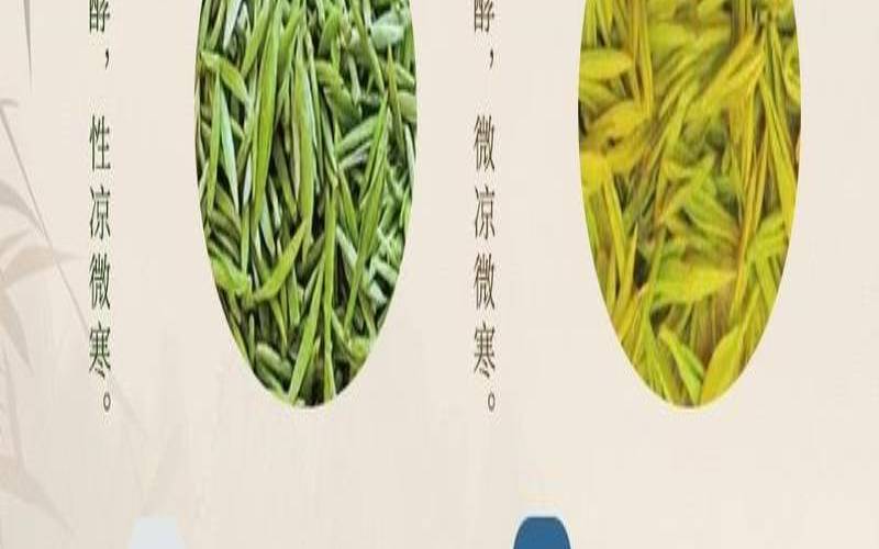 白茶属于黑茶还是红茶,白茶的种类主分为四类图片 白茶属于黑茶还是红茶,白茶的种类主分为四类图片