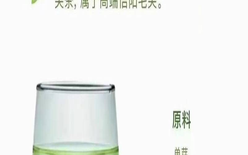 毛尖茶有什么功效和作用,喝毛尖茶有什么好处 毛尖茶有什么功效和作用,喝毛尖茶有什么好处