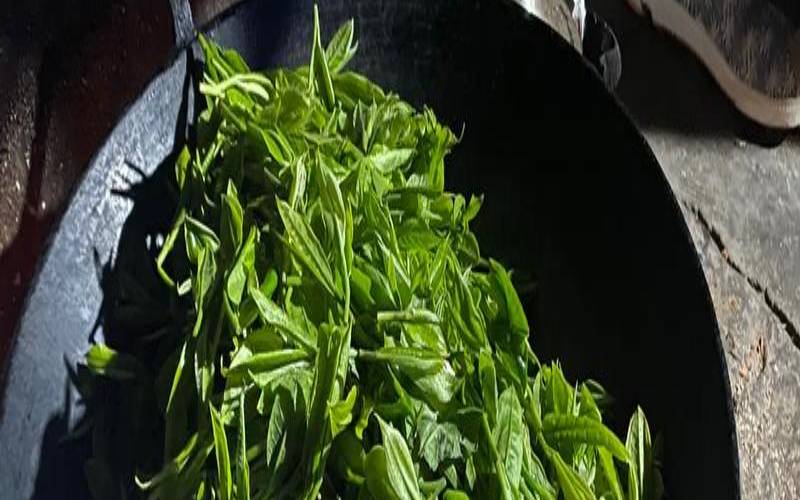 茶叶烘焙的好处,焙茶是什么意思 茶叶烘焙的好处,焙茶是什么意思