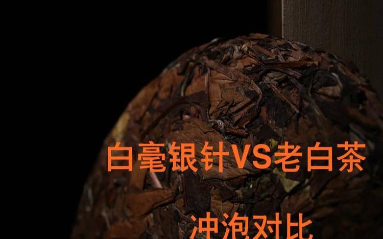 各种茶叶泡出来的效果,各种茶叶的区别 各种茶叶泡出来的效果,各种茶叶的区别