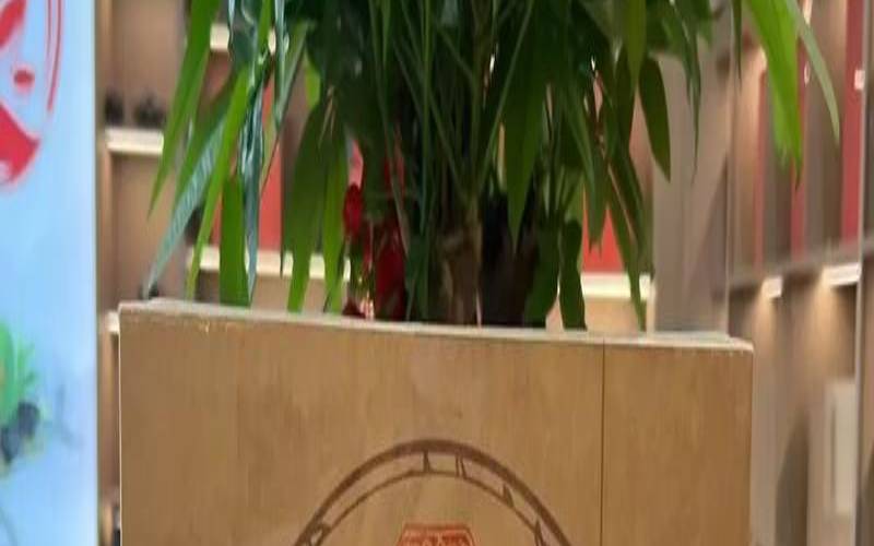 长沙茶叶推荐,长沙什么茶叶比较有名 长沙茶叶推荐,长沙什么茶叶比较有名
