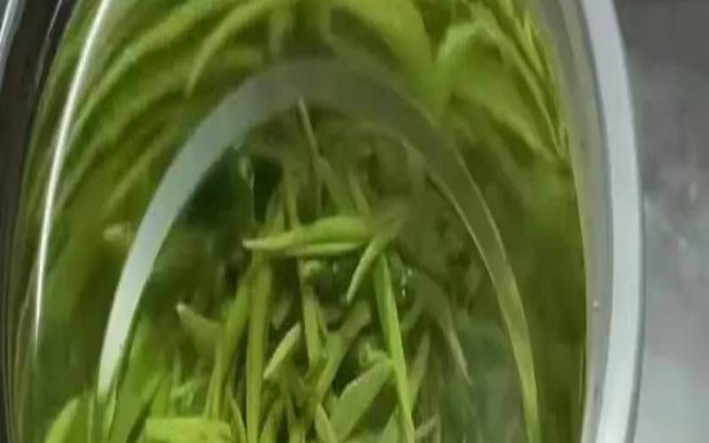 什么茶叶减肥好,哪种茶减肥最有效 什么茶叶减肥好,哪种茶减肥最有效