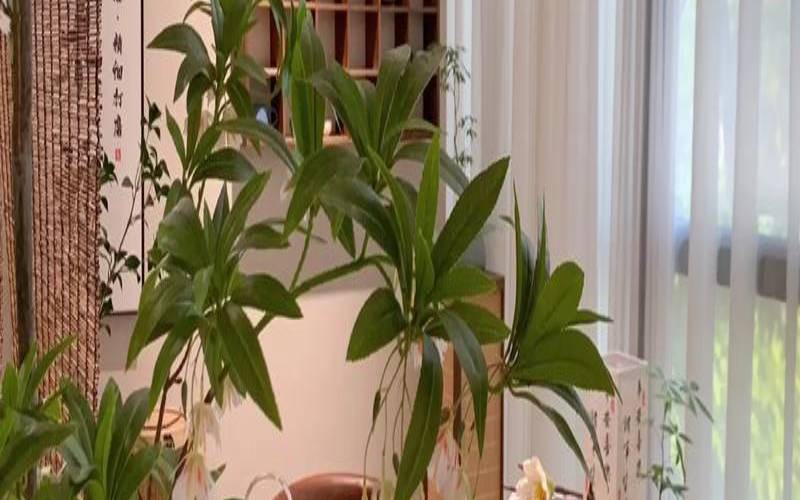 茶室一般选择什么位置好,休闲小茶室装修 茶室一般选择什么位置好,休闲小茶室装修