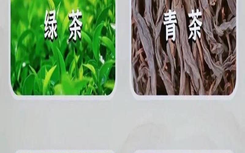 茶叶放在几度保鲜好,过夜的茶叶能继续泡吗 茶叶放在几度保鲜好,过夜的茶叶能继续泡吗
