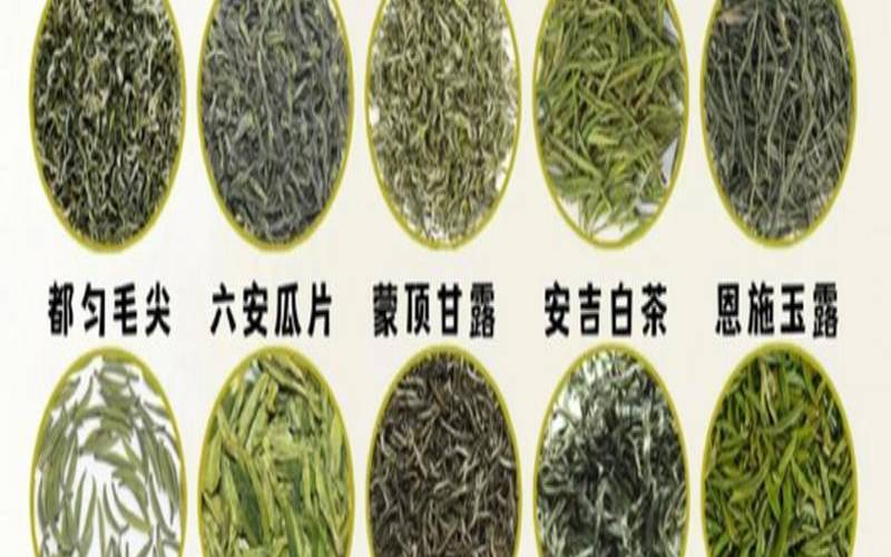 烘青绿茶有哪些（绿茶哪种好喝特别香）