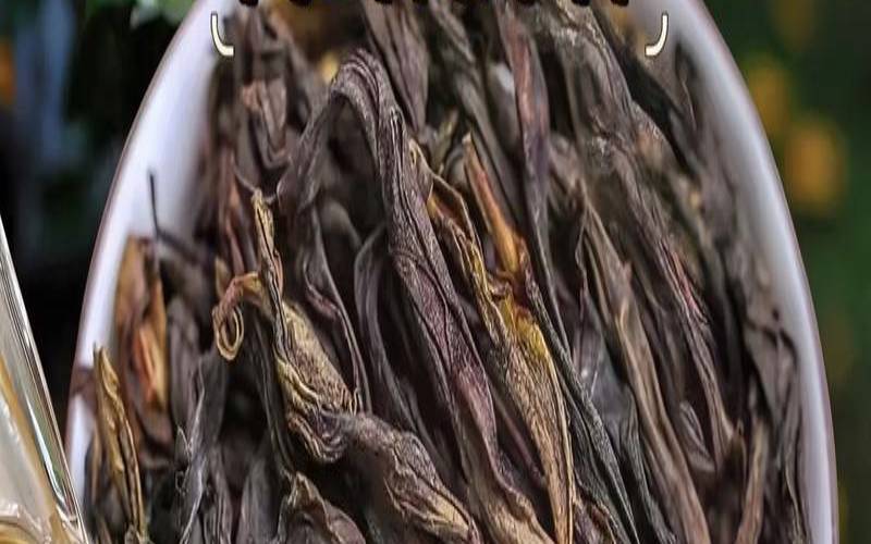 鸭屎香茶叶产地在哪里（鸭屎香是什么茶是哪里产的）