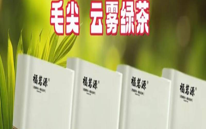 黄山毛峰和碧螺春哪个好喝（碧螺春毛尖龙井哪个好喝）
