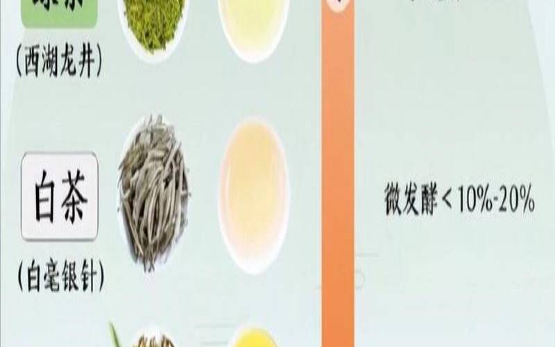 什么情况不能喝绿茶,5类不适宜喝绿茶的人 什么情况不能喝绿茶,5类不适宜喝绿茶的人