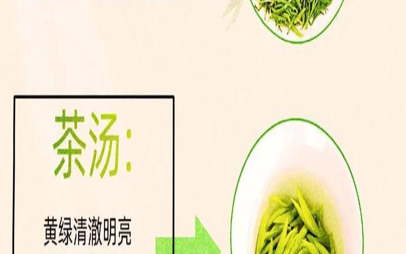 雀舌茶叶的多少价格（黄山雀舌特级价格表）