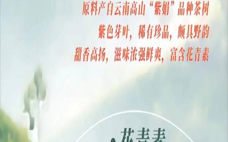 云南紫娟茶价格表和图片（紫娟茶价格一般多少钱）