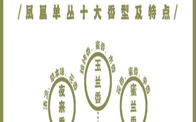 一文读懂单丛茶,凤凰单丛茶的十大香型 一文读懂单丛茶,凤凰单丛茶的十大香型