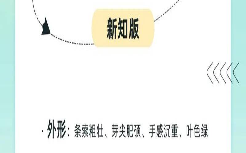 铁观音怎么拼震惊铁观音也拼配（铁观音的拼音怎么拼）