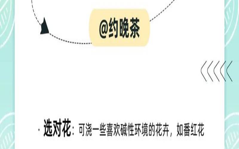 茶叶水浇花可以吗（茶叶水浇花好吗）