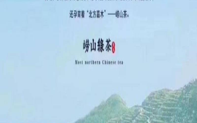 崂山绿茶品牌,青岛十大崂山茶品牌 崂山绿茶品牌,青岛十大崂山茶品牌