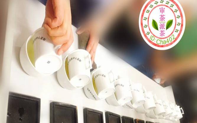 茶叶审评时使用的工具有哪些？（茶叶审评的器具）