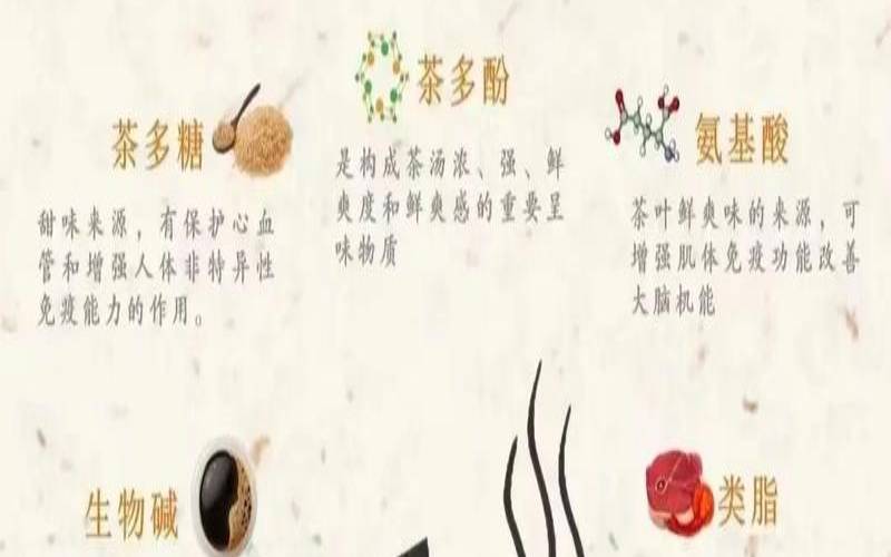 什么是普洱杯（普洱杯啥意思）