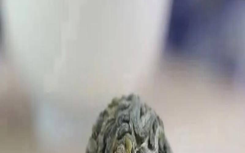 贵州雷山银球茶,贵州雷山银球茶贵不贵 贵州雷山银球茶,贵州雷山银球茶贵不贵