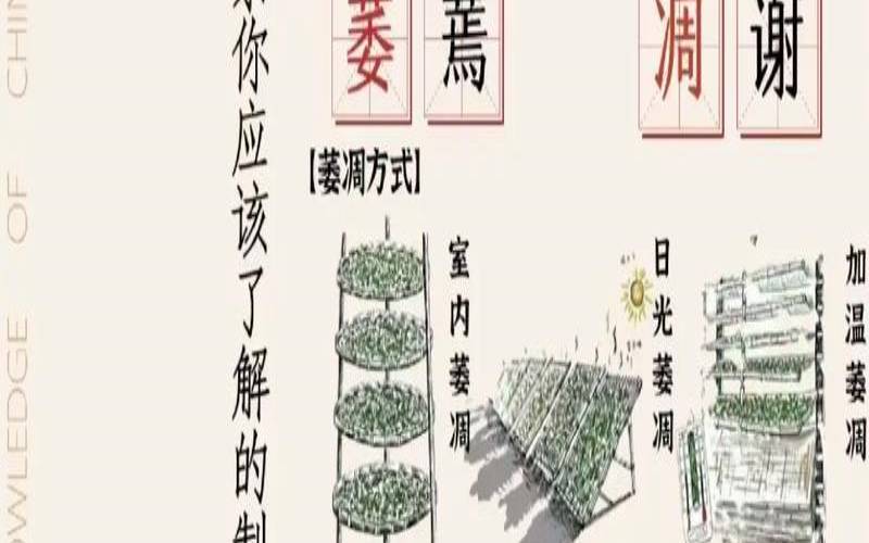 茶叶萎凋的目的是什么,茶叶萎凋图片 茶叶萎凋的目的是什么,茶叶萎凋图片
