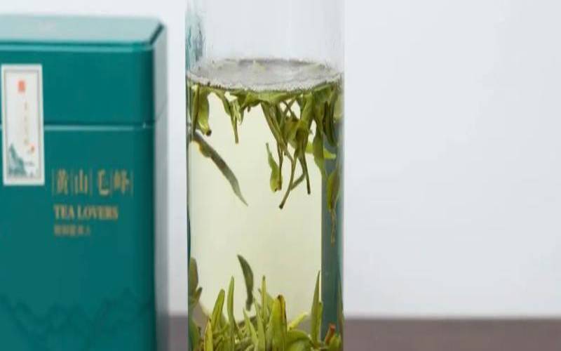 君山毛尖是黄茶吗（黄山毛峰有没有保质期）