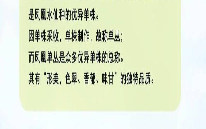 广东可以种什么茶（广东产茶叶吗）