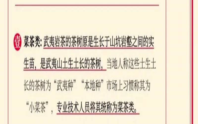 菜茶是什么品种（簕菜茶为啥女人不能喝）