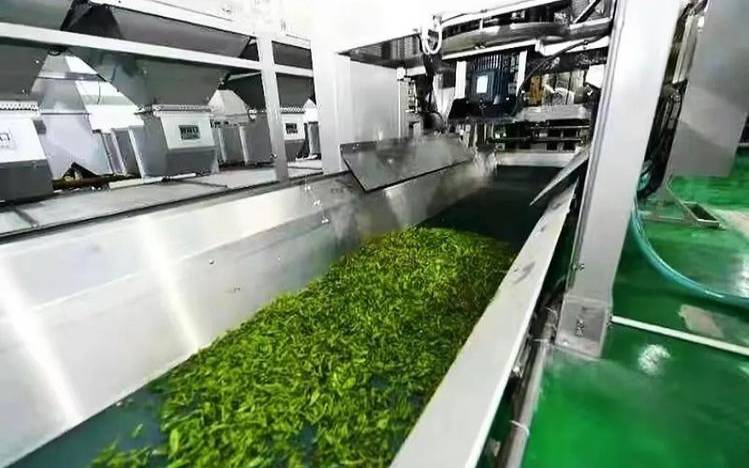 茶叶清洁加工技术有哪些,茶叶清洁生产的概念 茶叶清洁加工技术有哪些,茶叶清洁生产的概念