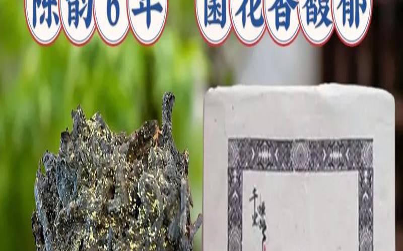 安化黑茶的九大功效演示,安化黑茶有哪些功效 安化黑茶的九大功效演示,安化黑茶有哪些功效