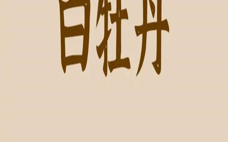 白牡丹茶的功效与作用及禁忌,白牡丹茶的功效作用和特点 白牡丹茶的功效与作用及禁忌,白牡丹茶的功效作用和特点