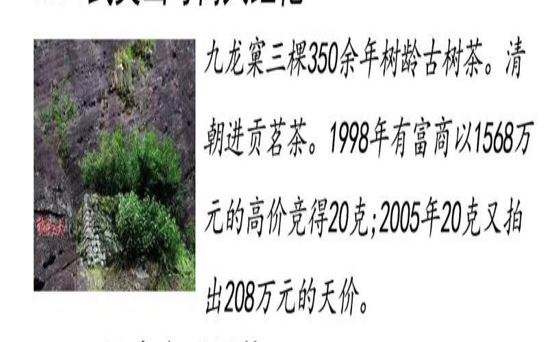 古代茶叶价格多少钱一斤,古代名贵的茶