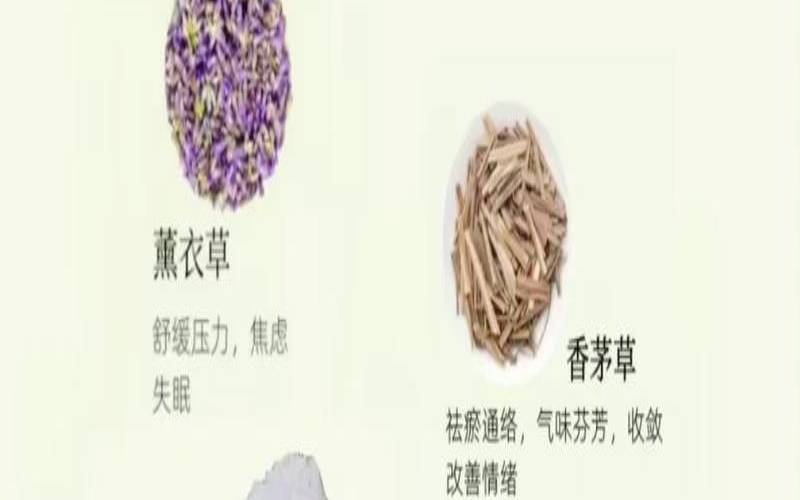 干茶叶能熏蚊子(茶叶能点着驱蚊吗)，干茶叶可以驱蚊吗