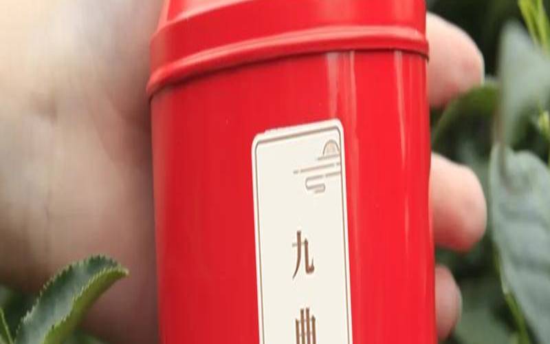 龙井能做红茶吗,龙井能做成红茶吗 龙井能做红茶吗,龙井能做成红茶吗