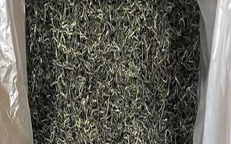 白龙珠茶叶多少钱一斤 白龙珠茶叶多少钱一斤