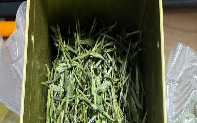黄山毛峰所透出的茶韵是什么,黄山毛峰茶叶简介 黄山毛峰所透出的茶韵是什么,黄山毛峰茶叶简介