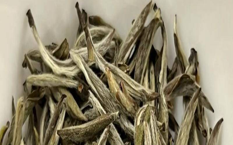 白毫银针对肺的好处,白毫银针对眼睛好吗 白毫银针对肺的好处,白毫银针对眼睛好吗