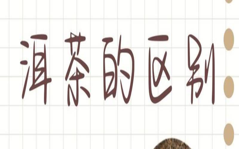 普洱生茶和熟茶工艺的区别,普洱生茶怎么喝 普洱生茶和熟茶工艺的区别,普洱生茶怎么喝