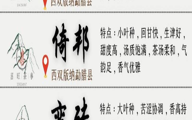 六大茶山的茶叶各自有喝起来有什么特点?,六大茶山的茶的特点 六大茶山的茶叶各自有喝起来有什么特点?,六大茶山的茶的特点