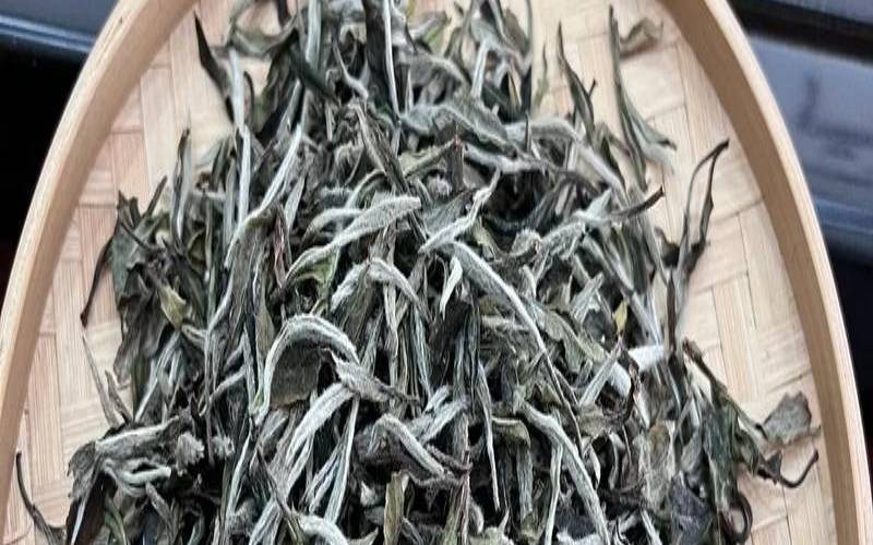 三年陈白牡丹茶价格,3年白牡丹茶价格 三年陈白牡丹茶价格,3年白牡丹茶价格