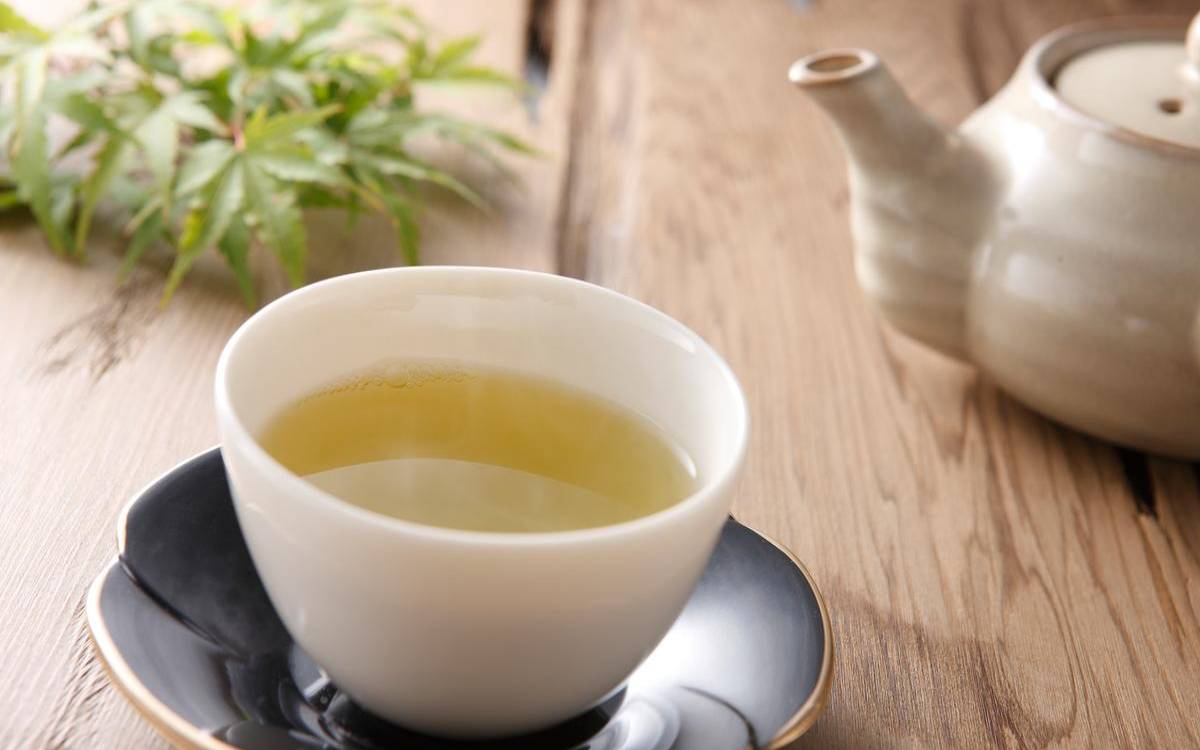 白茶减肥的原理白茶的减法技术,白茶有减肥的效果吗 白茶减肥的原理白茶的减法技术,白茶有减肥的效果吗