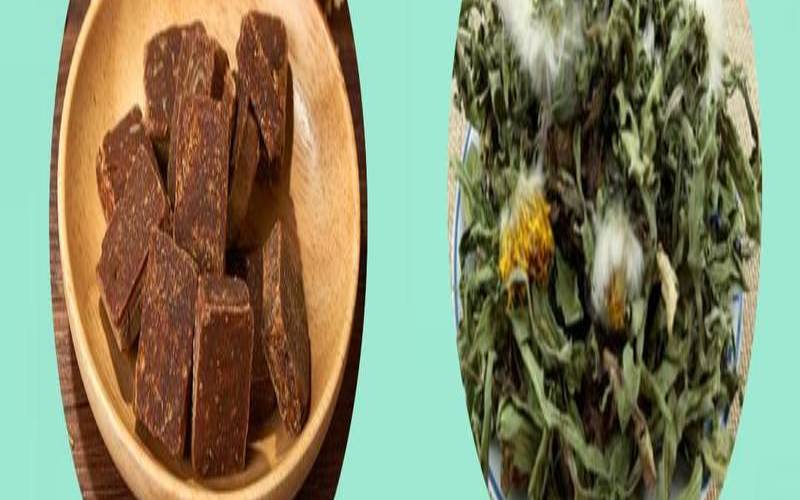 蒲公英长期喝好吗,蒲公英长期喝好不好 蒲公英长期喝好吗,蒲公英长期喝好不好