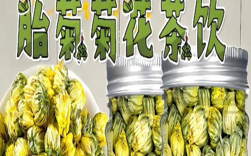 喝胎菊可以去湿气吗,经常喝胎菊茶有什么好处 喝胎菊可以去湿气吗,经常喝胎菊茶有什么好处