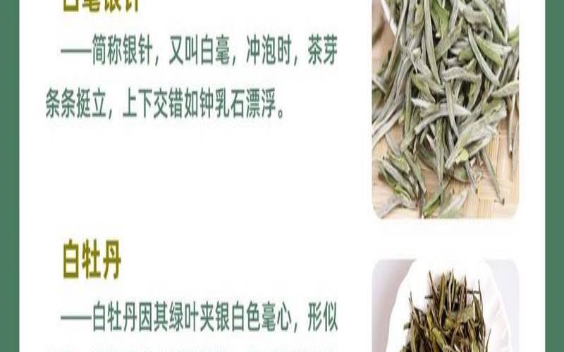 福鼎白茶审评表,福鼎白茶四个等级 福鼎白茶审评表,福鼎白茶四个等级
