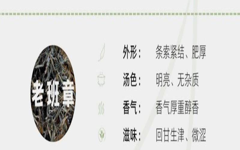普洱茶购买渠道,新手买普洱茶怎么买 普洱茶购买渠道,新手买普洱茶怎么买