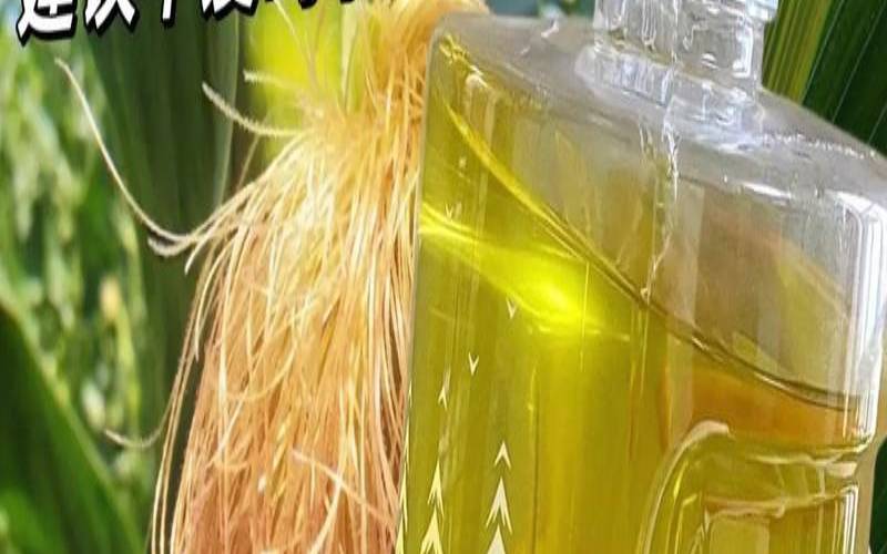 蒲公英和玉米须和红枣,婆婆丁和玉米须泡水的功效