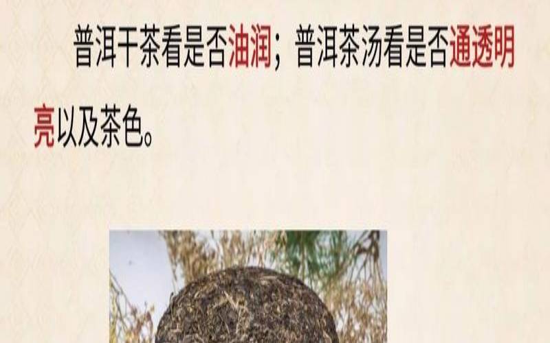 普洱茶怎么挑选图解,普洱茶如何鉴别好坏