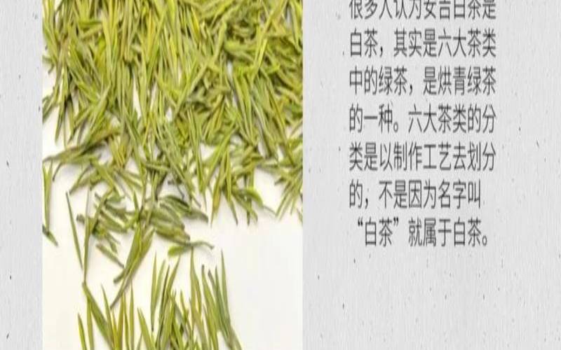 白茶和绿茶哪个茶多酚高
